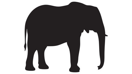 Fototapeta premium Elephant Silhouette On White Background A Minimalist Animal Shape african