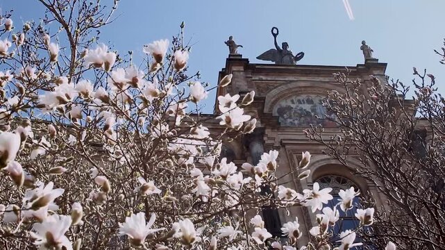 Apfelbl&uuml;ten vor dem Bayerischen Landtag im Fr&uuml;hling