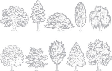 Set of various handdrawn deciduous and coniferous trees © PNG Stock 