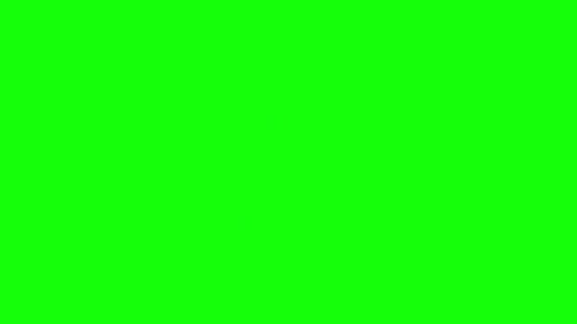 Animated Tiger Characters on Green Screen with Playful Walking Motions for Chroma Key Video Editing
