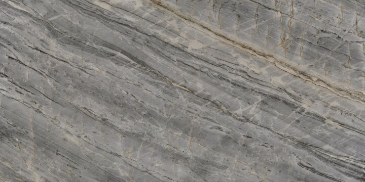 Diagonal Striped Graphite Gneiss Plate with Quartzite Veining