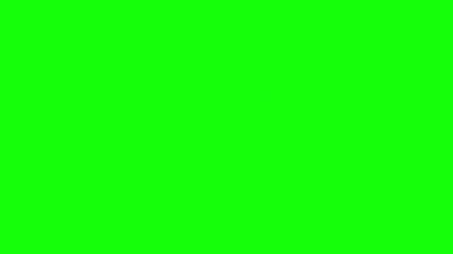 Cute Tiger Cub Sitting and Walking Animation on Green Screen for Chroma Key Video Editing