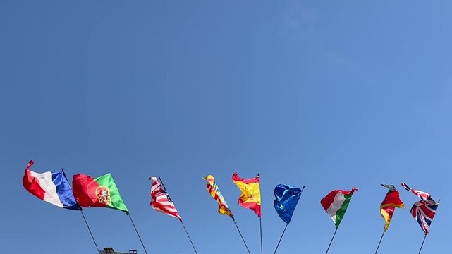  International flags waving in wind. Bird flying above the flags. 4k