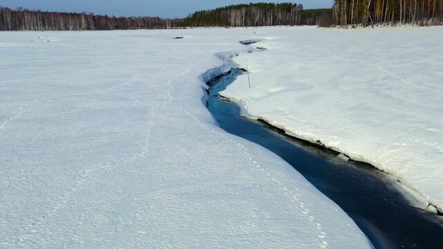 Flying in winter over a swamp covered with forest. A narrow dark river winds through a frozen wetland, its open water cutting a sinuous path between snow banks and boreal forest, aerial drone view. D