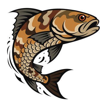 Jumping Carp Fish Camouflage Fishing Illustration