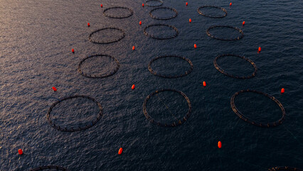 Circular net pens and orange buoys floating on the dark blue ocean surface, illustrating modern aquaculture, sustainable seafood production, and marine industry practices © Nasos Zovoilis