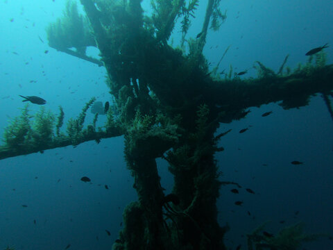 Gozo