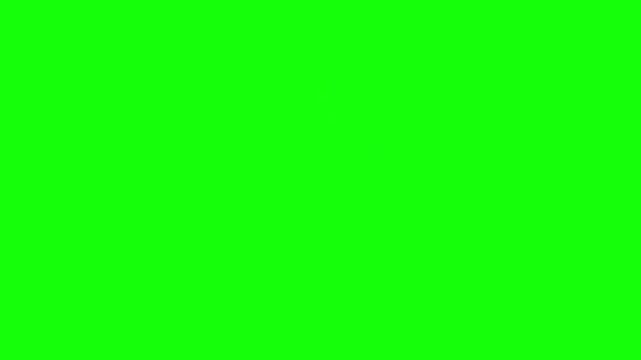 Cute Cartoon Bunnies Eating Carrots Animation on Green Screen for Chroma Key Video Editing