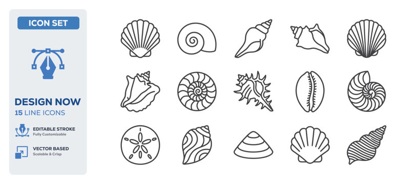 flat vector illustration line art icon bundle set design illustrating sea shells tropical beach items beautiful ocean conches natural marine shells and coast graphic