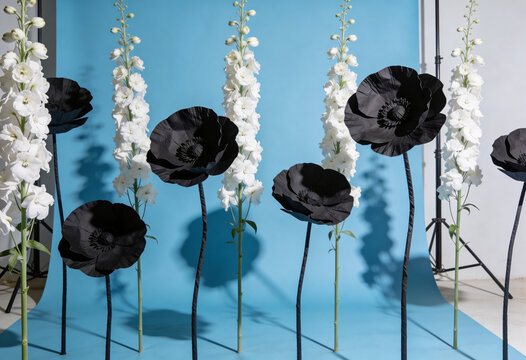 Artificial flowers, tall white floral stems, blue studio setting, modern floral arrangement, contemporary decor, staged photography set, paper craft blossoms, botanical design, flora.