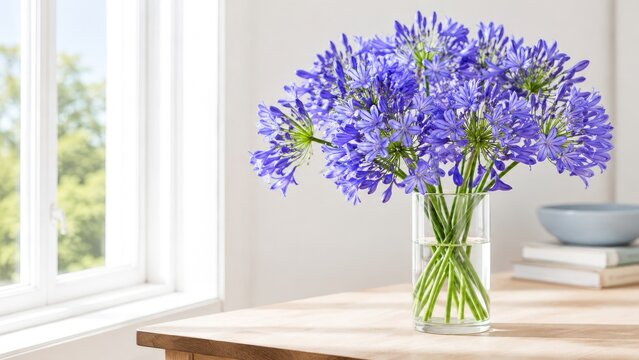 Bright interior scene with purple agapanthus bouquet in a glass vase on a wooden table by a sunlit window