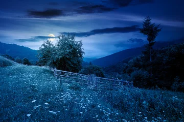rural mountain landscape of ukraine at night. countryside scenery of transcarpathia in summer. forested hills and grassy meadows under dark sky in full moon light © Pellinni