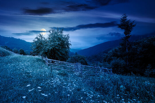 rural mountain landscape of ukraine at night. countryside scenery of transcarpathia in summer. forested hills and grassy meadows under dark sky in full moon light