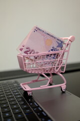 Pack of 200 Turkish lira banknotes in pink toy shopping cart on open laptop, online shopping and e-commerce concept © Stanislava