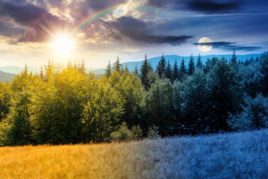 mountain landscape of ukraine. day meet night. sun and moon over alpine grassy meadow and deciduous forest on the hill. equinox nature background for carpathian adventures