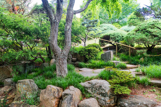Scenic Japanese Garden Landscape With Winding Path And Ornamental Greenery