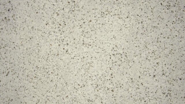 Seamless Polished Terrazzo Flooring Texture with Mineral Flecks
