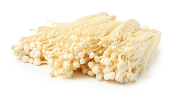 Clusters of raw enoki mushrooms isolated on white