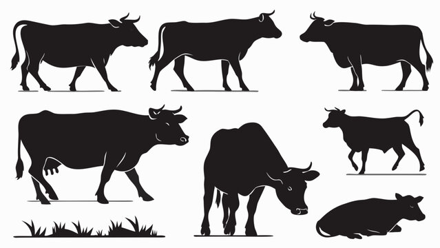 Cattle cow silhouette collection in different poses with silhouette livestock standing agriculture isolated collection