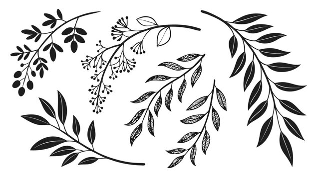 Floral botanical leaf and branch silhouette elements with botanical silhouette decoration collection illustration isolated