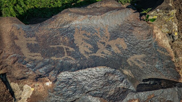 Close-Up View of Archeological Petroglyph Carving on Rough Stone in Natural Outdoor Setting