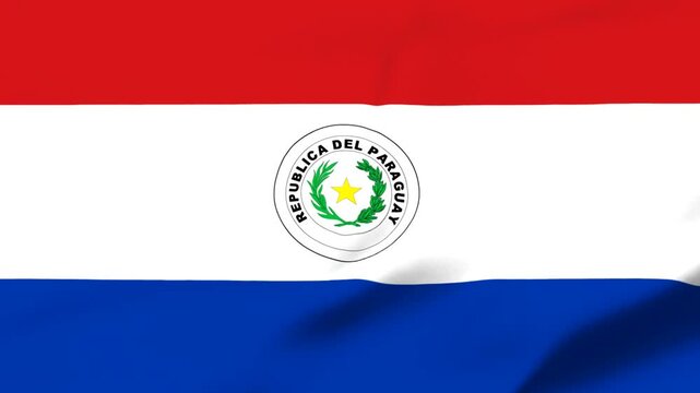 Paraguay national flag with emblem waving in the wind