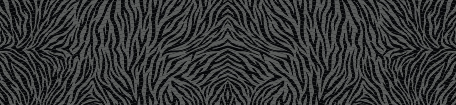 Modern zebra skin pattern background with abstract black and dark grey thin. Wild animal pattern vector illustration