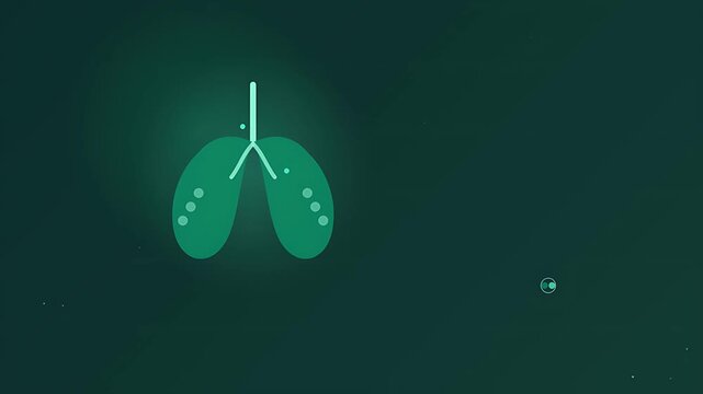 Detailed animation of human lungs and bronchial tubes illustrating the complex respiratory system function vital signs medical education concept