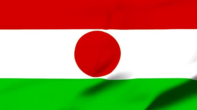 the national flag of the Republic of Niger, Looped background animation of the waving flag of Niger