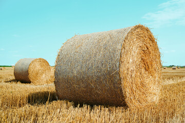 Large round hay bales resting in a harvested field under a blue summer sky. Rural landscape, agriculture and post-harvest farming concept. © Bits and Splits