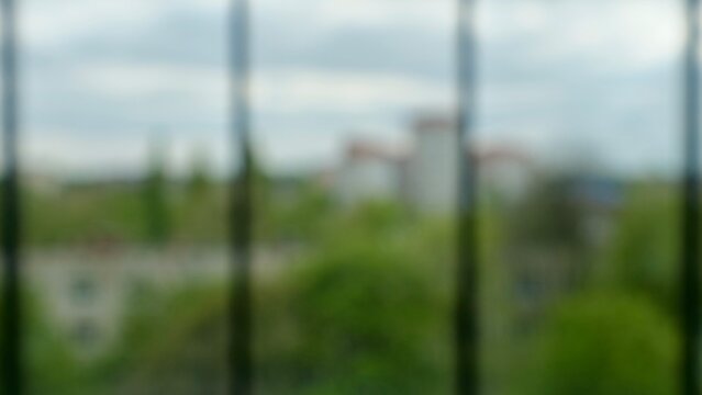 Abstract blurry backdrop of a city view with green trees and sky through a window. Blurred background plate for chromakey video editing, corporate virtual meetings, zoom background and copy space