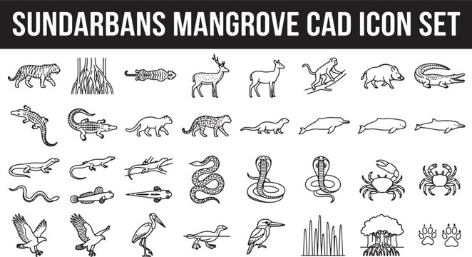 Mangrove forest wildlife and plant icon set featuring diverse animals and trees in black line art style