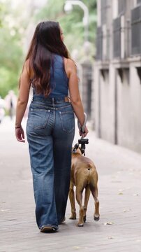 Rear view of a stylish young woman with long hair wearing denim walking her boxer dog on a leash down a city street in slow motion