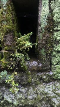 Moss covered ancient ruins with water flowing through stone doorway