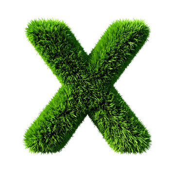 Vibrant letter x shaped from fresh green grass blades highlights the lush texture of the organic natural vegetation