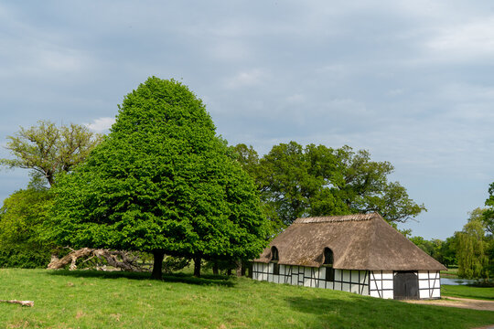 Traditionelles Fachwerkhaus mit Reetdach beim Jagdschloss Eremitage in Dyrehaven, D&auml;nemark