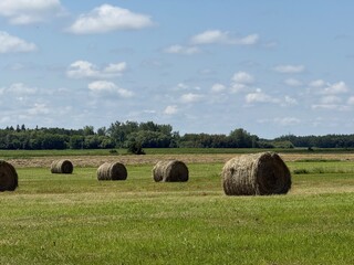 Rural Scene with Hay Bails and Blue Sky with Puffy Clouds and Green Landscape © Jason Lee