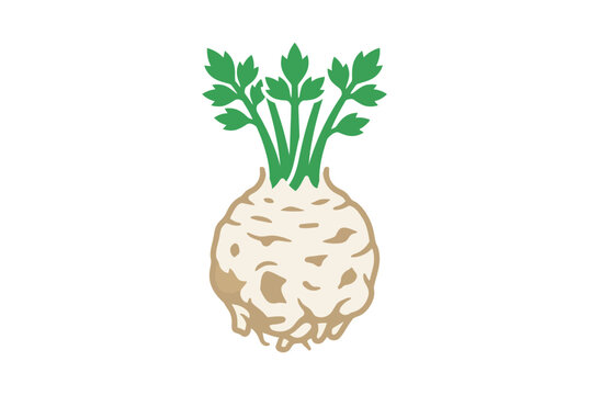 A simple illustration of a fresh celeriac root with green leaves