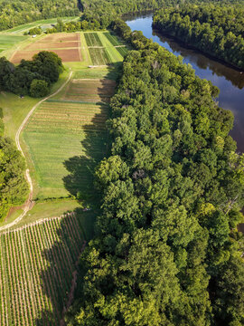 Agricultural fieds follow the banks of the Catawba River in South Carolina