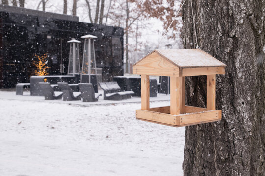 Bird feeder hangs on a tree while snow falls in a backyard with modern furniture and light decorations in the evening