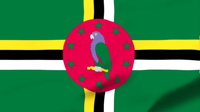 Dominica flag with parrot emblem and green yellow black stripes