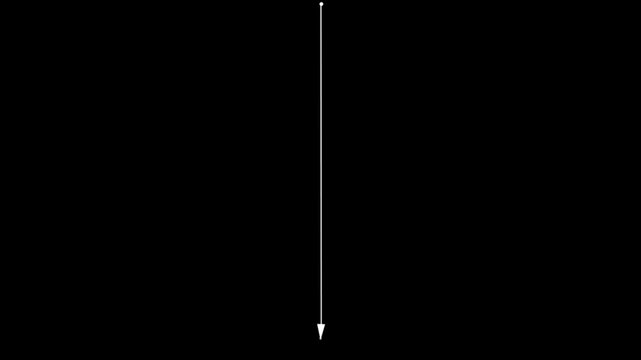 WHITE thin vertical arrow line isolated on transparent background straight pointing down pointer symbol graphic element for infographic diagram design template