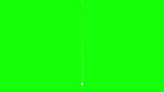 WHITE thin vertical arrow line isolated on transparent background straight pointing down pointer symbol graphic element for infographic diagram design template