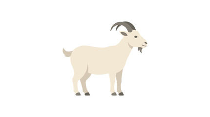 Fototapeta premium A simple flat illustration of a white goat with curved horns and a beard standing on a white background