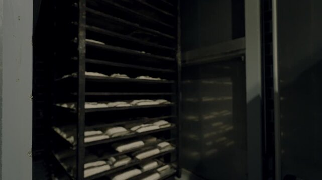 Baker's hand reaches for trays of dough inside a commercial refrigerator, showcasing the organized shelves filled with rising bread ready for baking in a kitchen environment