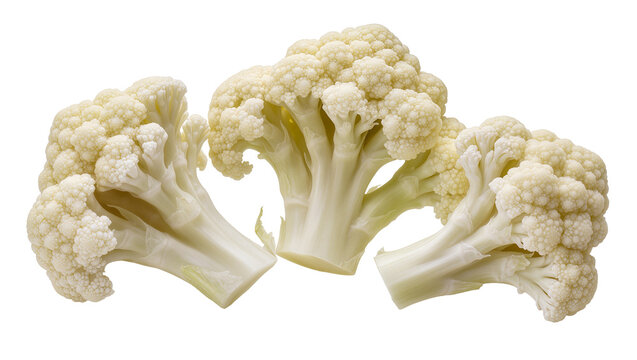 Isolated fresh organic raw cauliflower florets cut for healthy vegan diet preparation