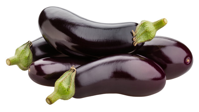 Isolated fresh dark purple eggplants piled together, ready for cooking, healthy organic produce