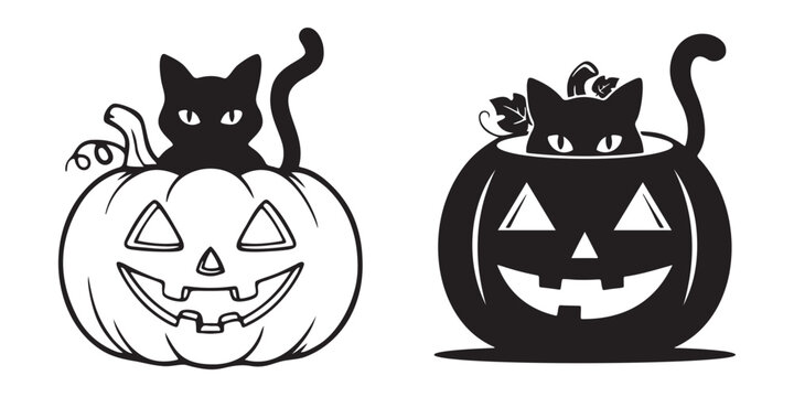 Black cat sitting inside a spooky carved jack o lantern pumpkin for halloween celebration Vector
