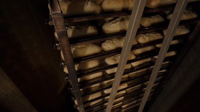 Freshly prepared dough loaves rising on metal racks inside a bakery, showcasing the continuous progression of baking preparation in a warm, industrial kitchen environment