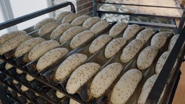 Freshly prepared loaves of bread with seeds resting on metal racks in a bakery, showcasing multiple layers of dough in a well-lit, clean environment